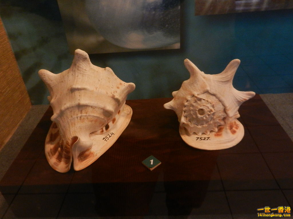 DSCN9898.JPG