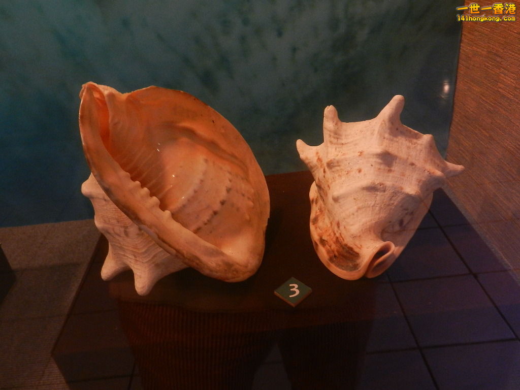 DSCN9899.JPG