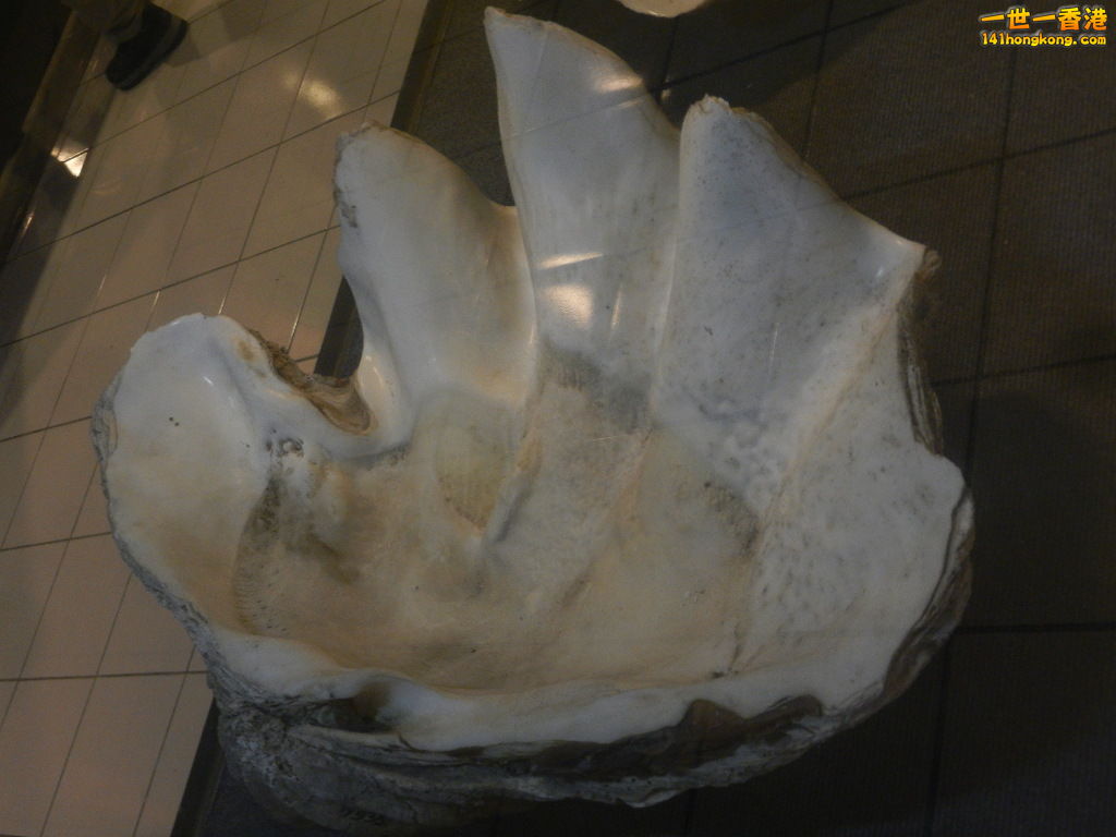 DSCN9902.JPG