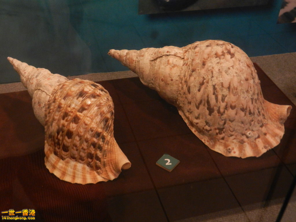 DSCN9901.JPG