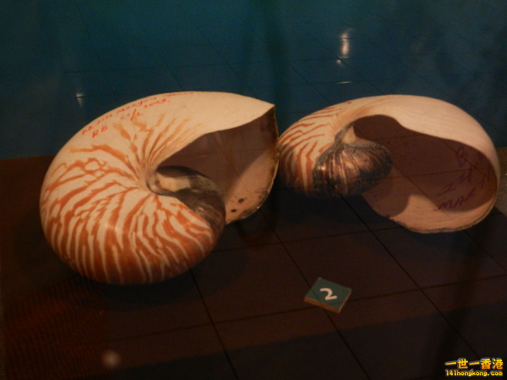 DSCN9900.JPG
