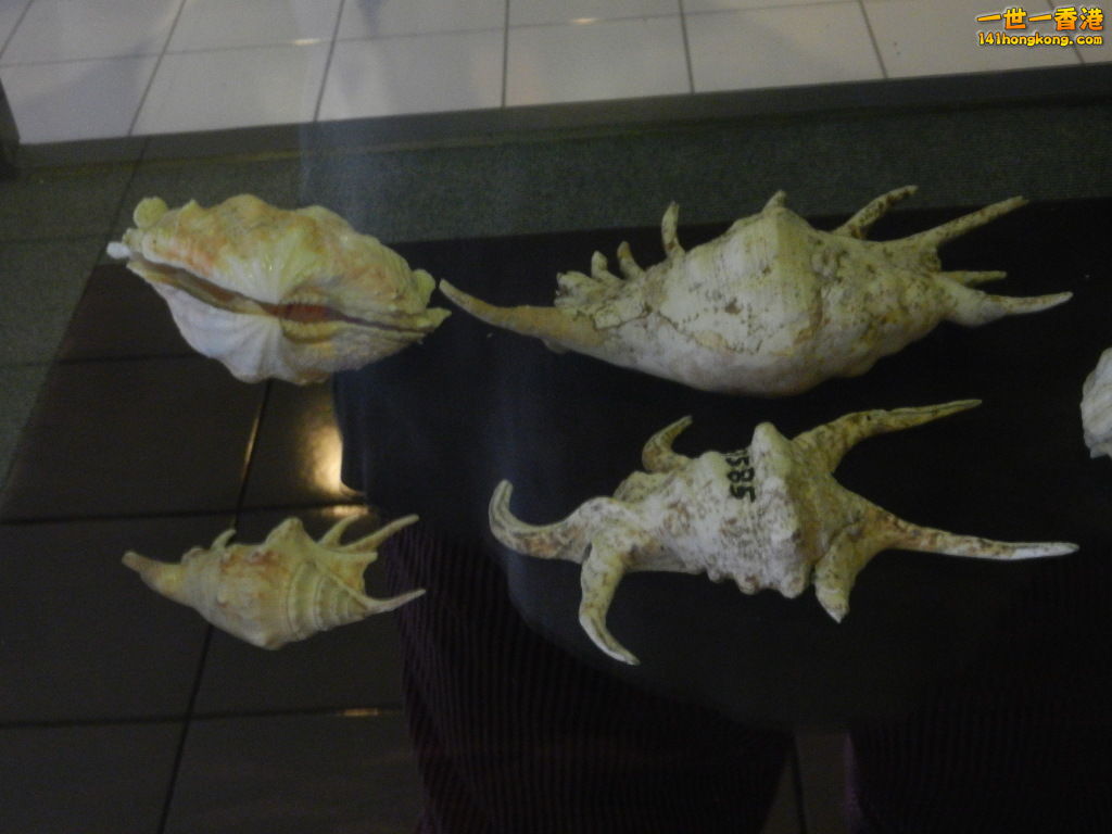 DSCN9905.JPG