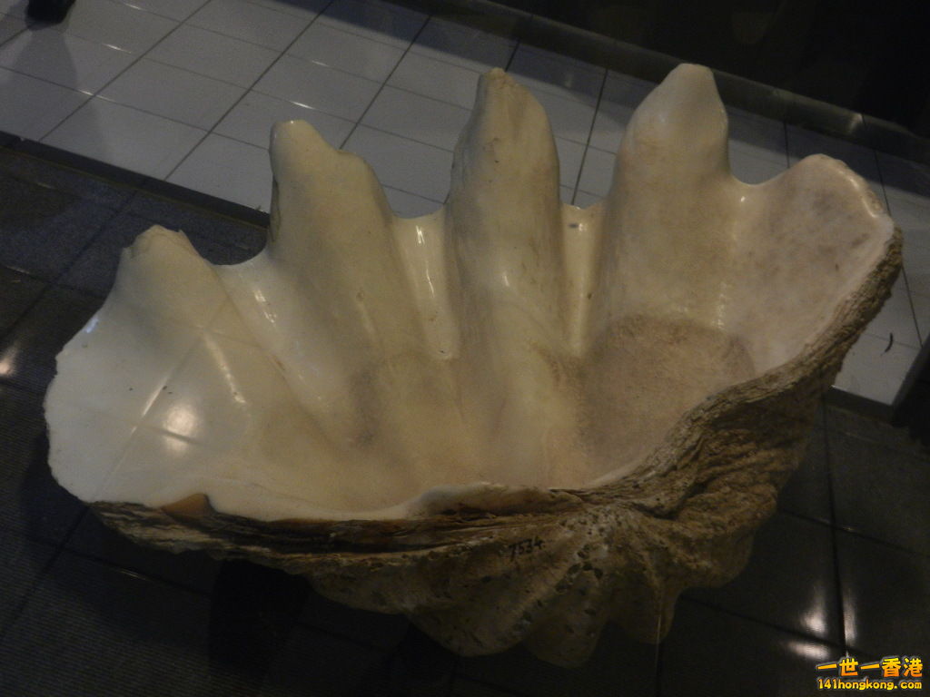 DSCN9903.JPG