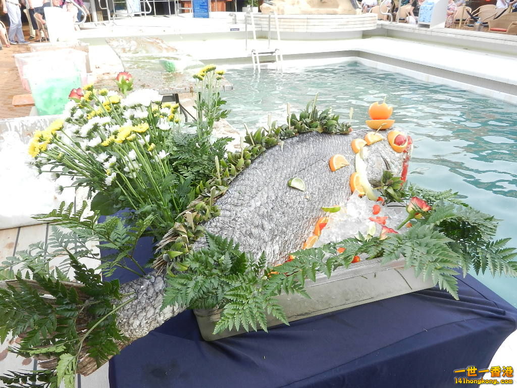 DSCN8837.JPG