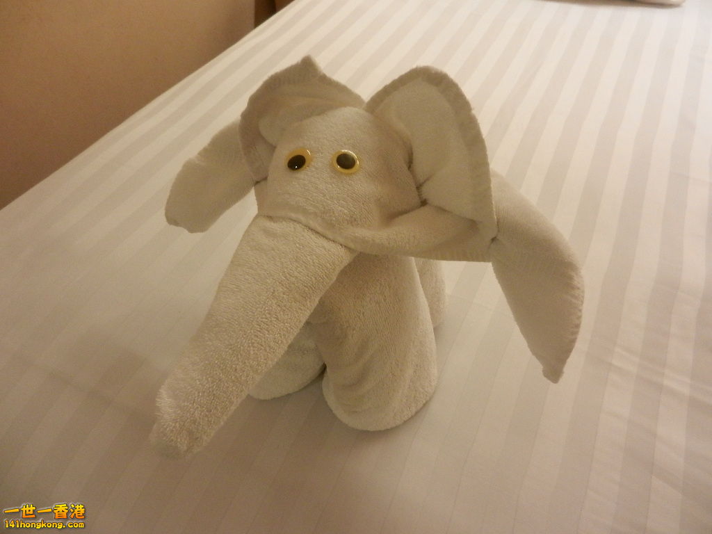 DSCN0428.JPG