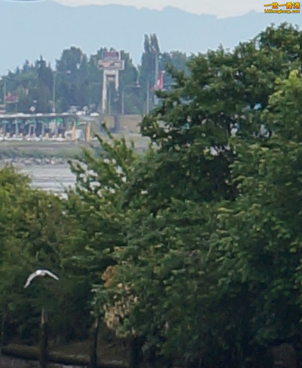 DSC01292.jpg