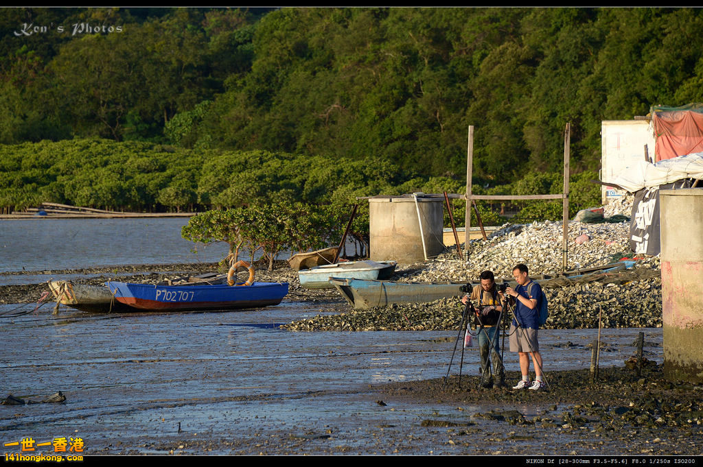 DSC_0052.jpg