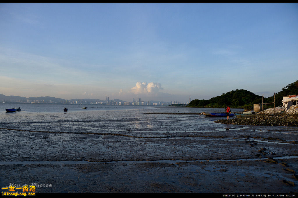 DSC_0062.jpg
