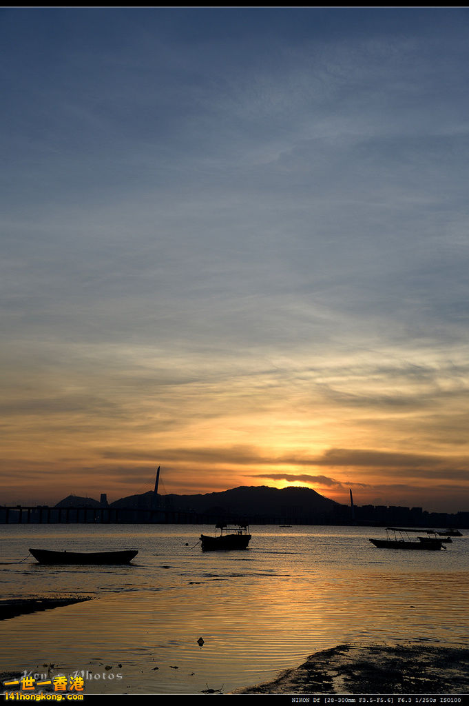 DSC_0101.jpg
