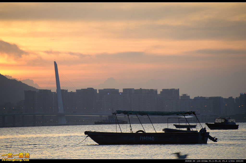 DSC_0106.jpg