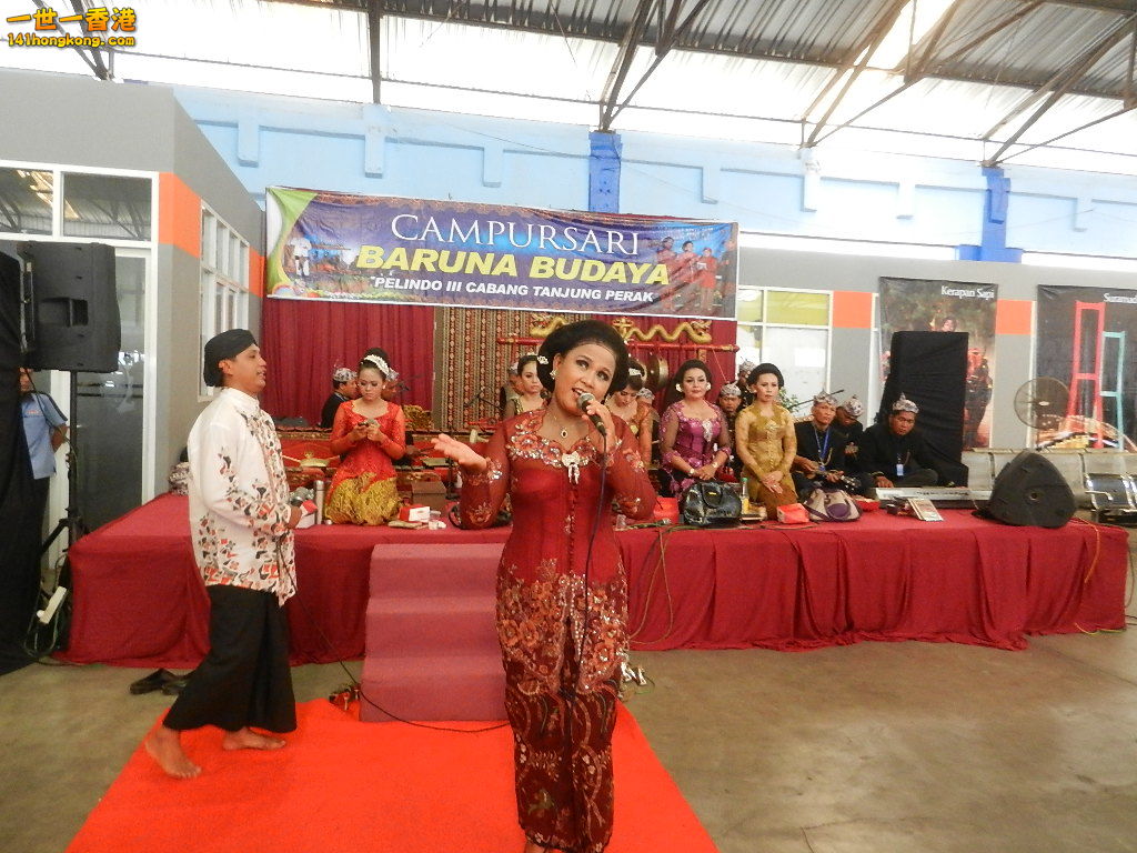 DSCN0520.JPG