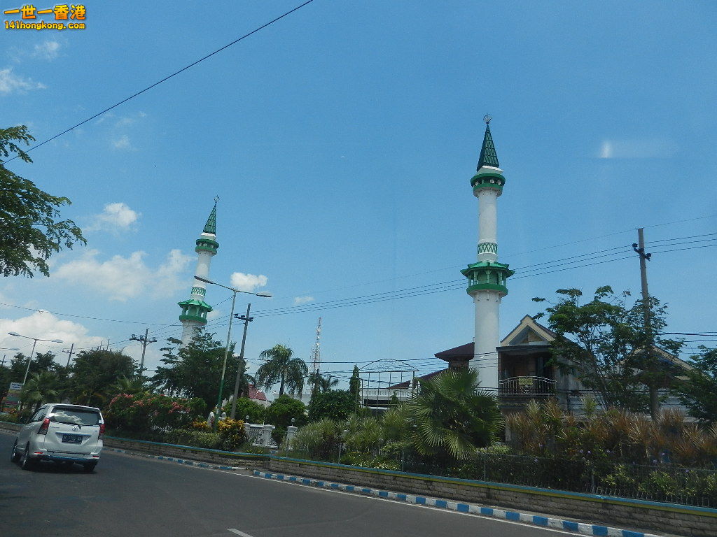 DSCN0552.JPG