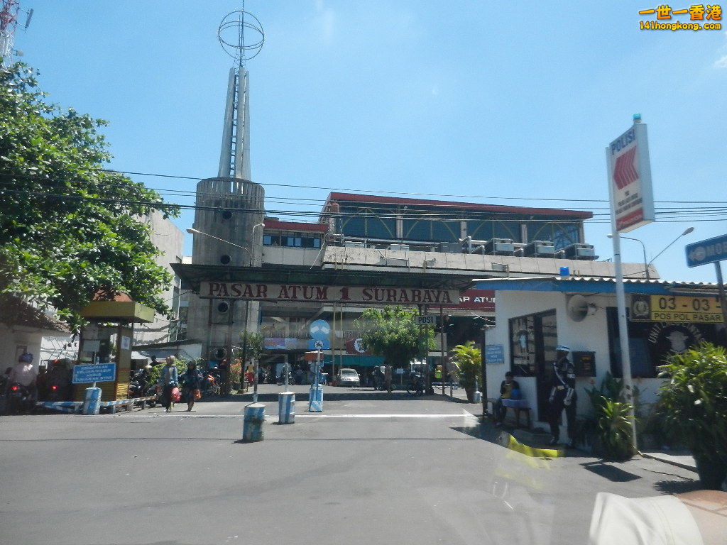 DSCN0599.JPG