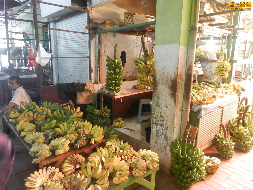 DSCN0574.JPG