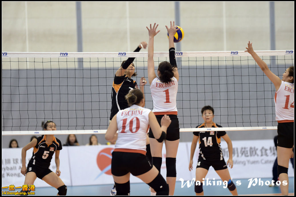 D4S_0330.jpg