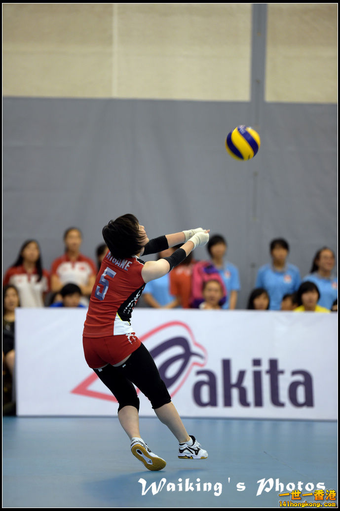 D4S_2904.jpg