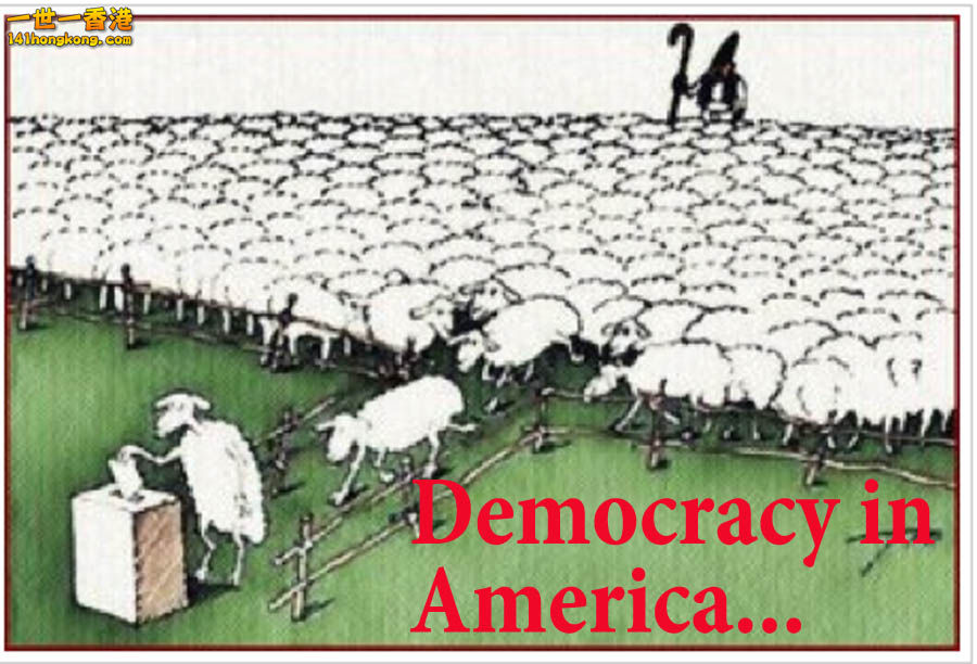 sheep-voting-democracy-in-america.jpg