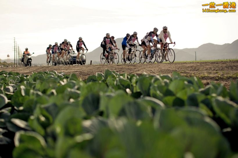 01_Tour de Pink on the Road 10 29 2010.jpg