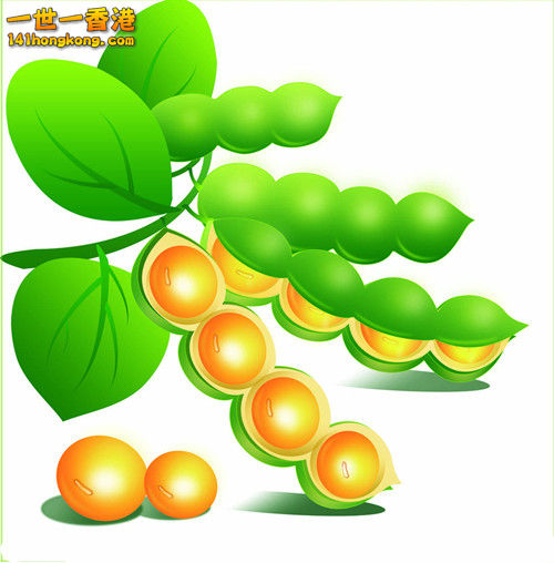 11496451_105837302361_2_副本.jpg