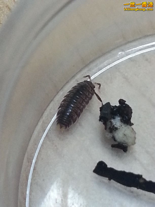 2014-07-21 06.51.50.jpg