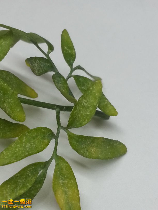 2014-07-21 06.56.07.jpg