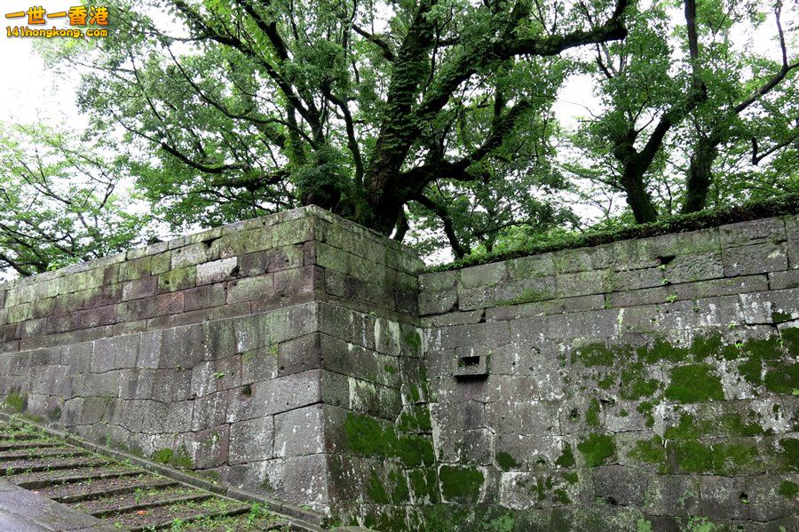 IMG_0123.JPG