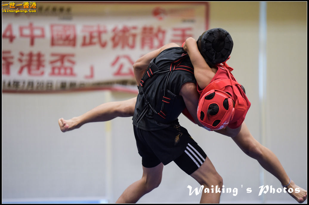 D4S_8349.jpg