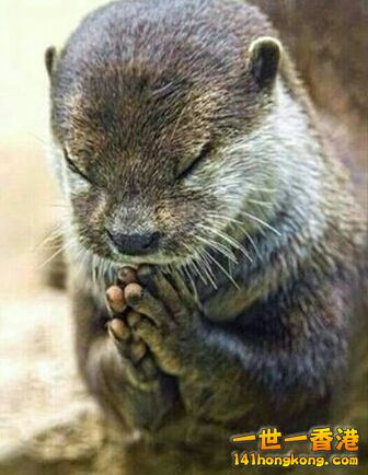 2014-07-24 12.20.52.jpg