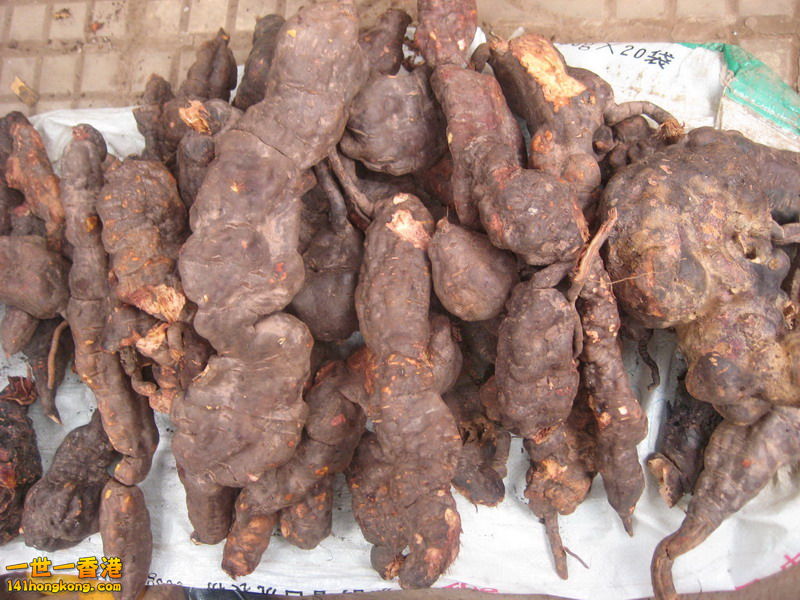 何首烏.jpg