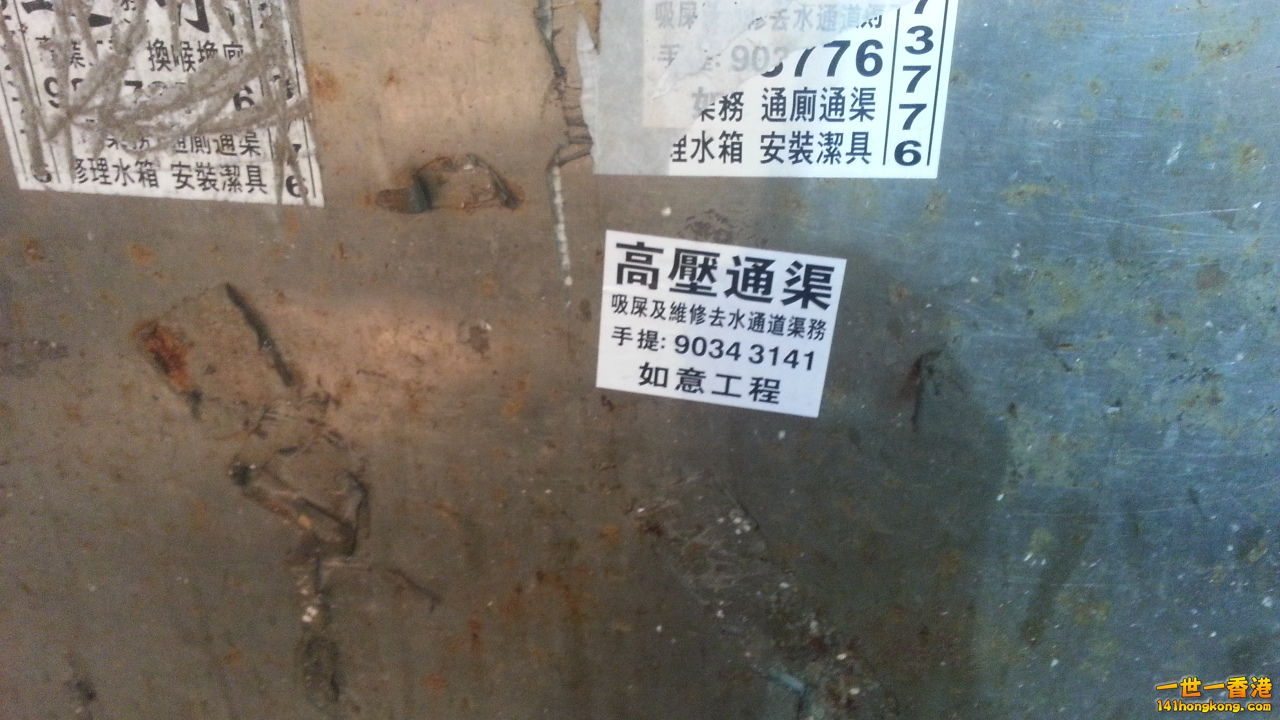 20140725_080456.jpg