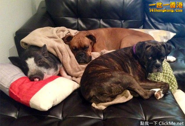 22060badb11026c14d92a66edbd770b8.jpg