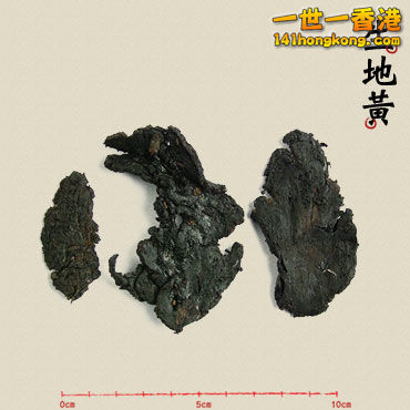 生地黃.jpg