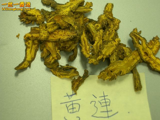 黃蓮.jpg