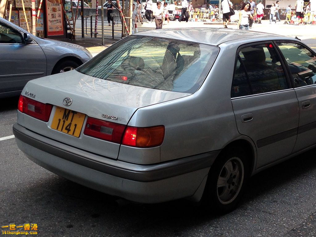 MT1141.JPG