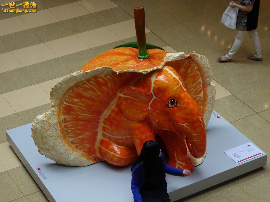 DSC05112.JPG