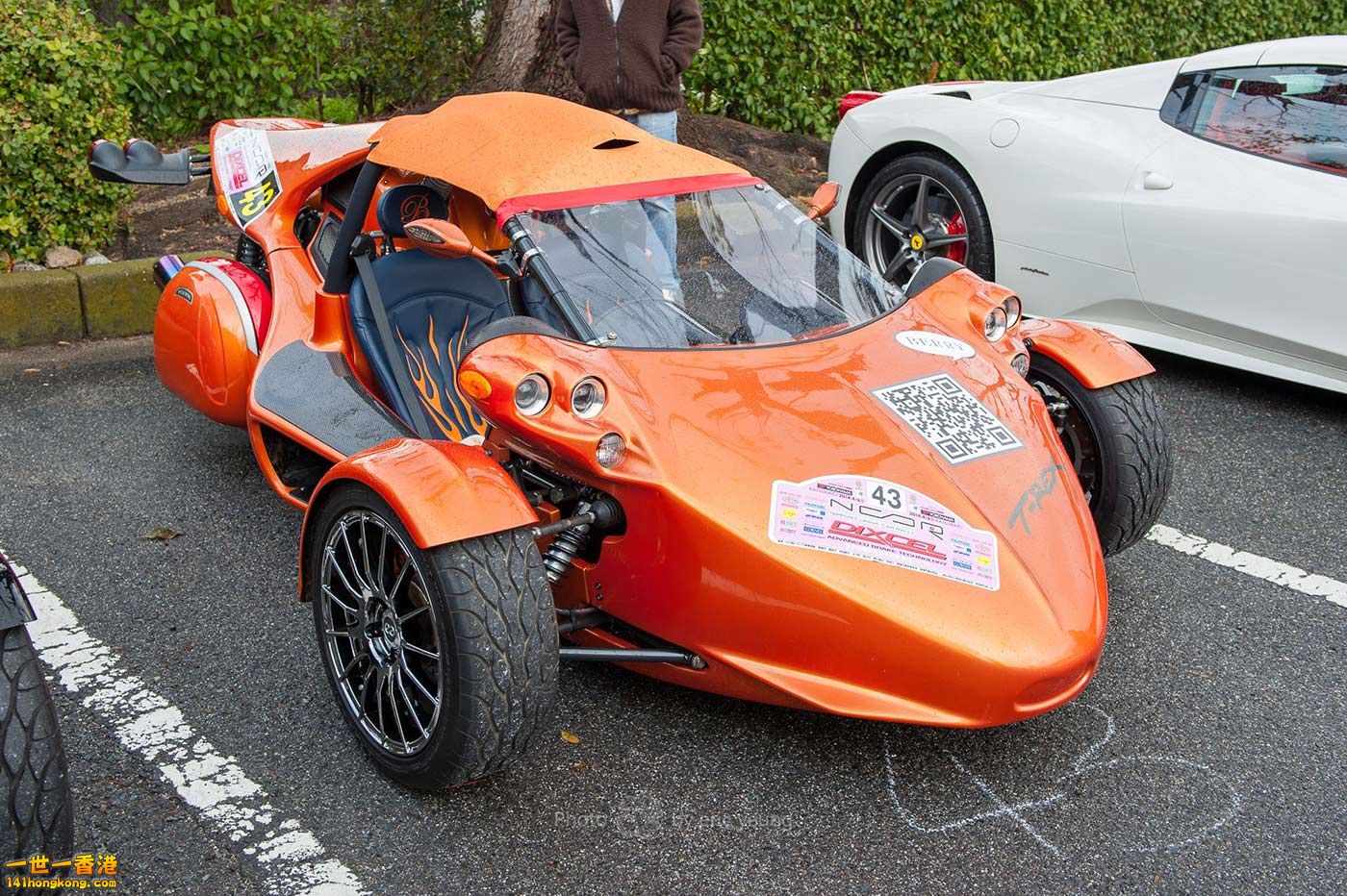 Campagna T-REX