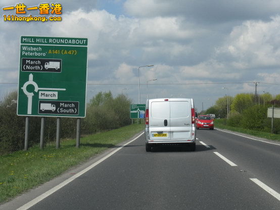 141.jpg
