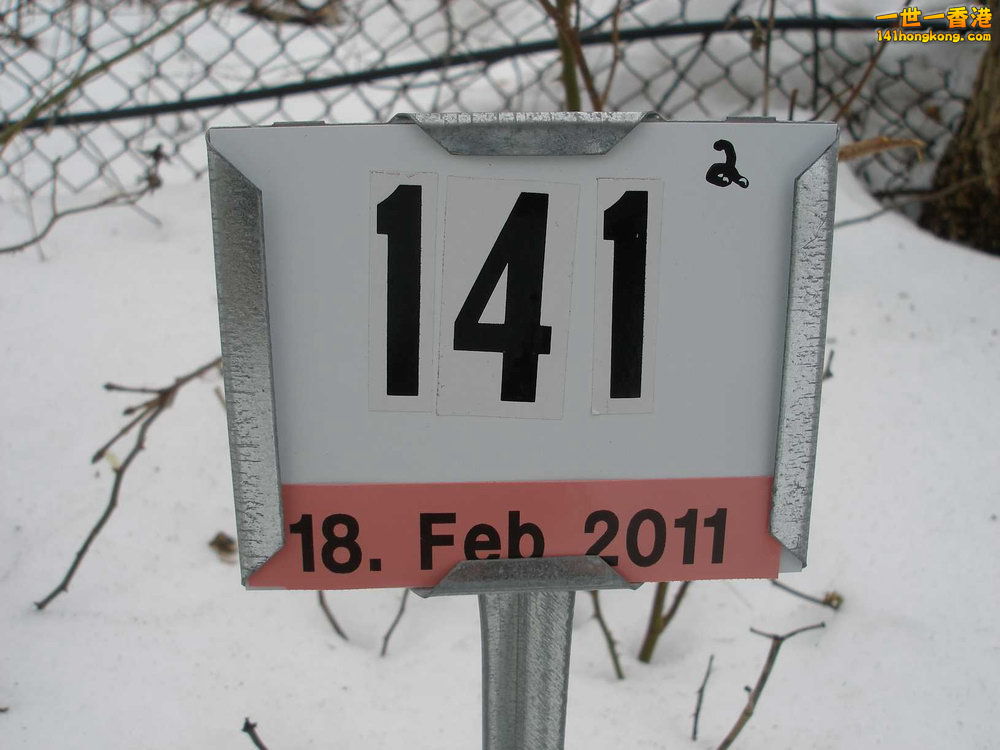 141.jpg