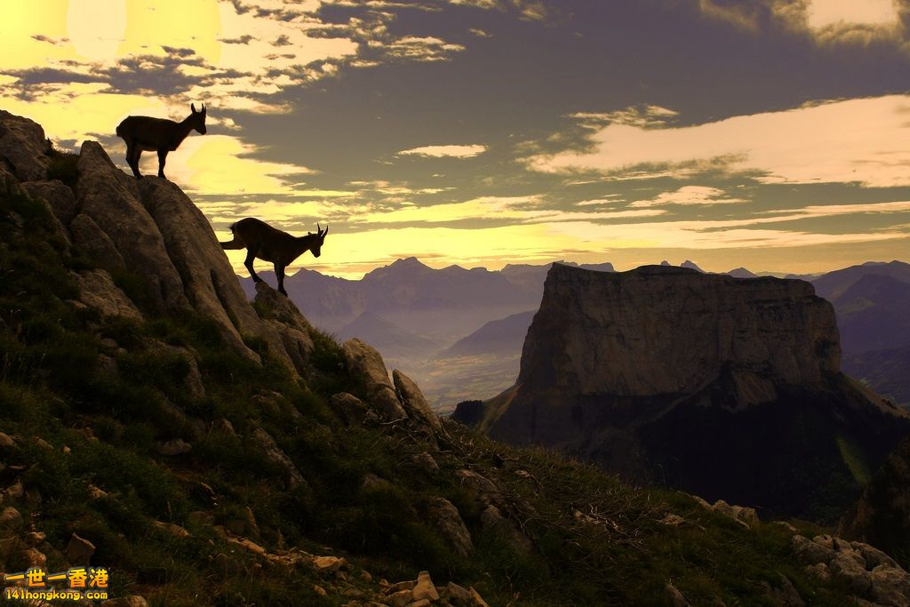 Mont Aiguille 5290827443_cee28b5813_b.jpg