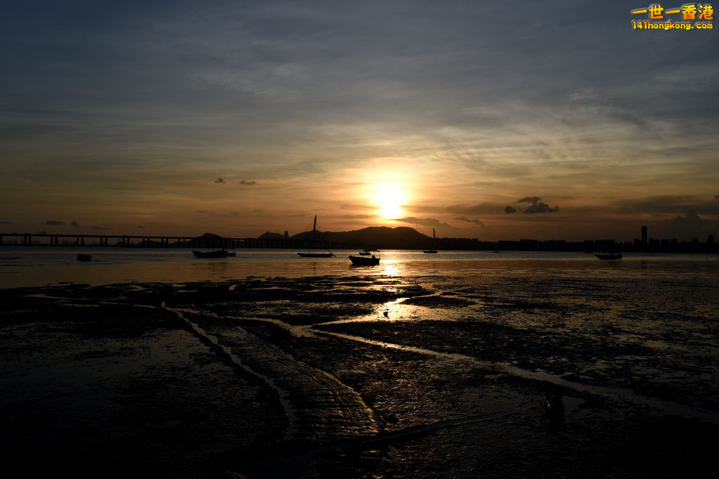 DSC_0101.JPG