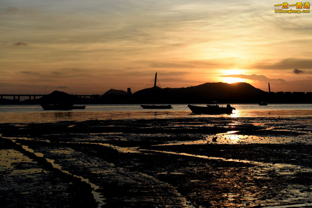 DSC_0113.JPG