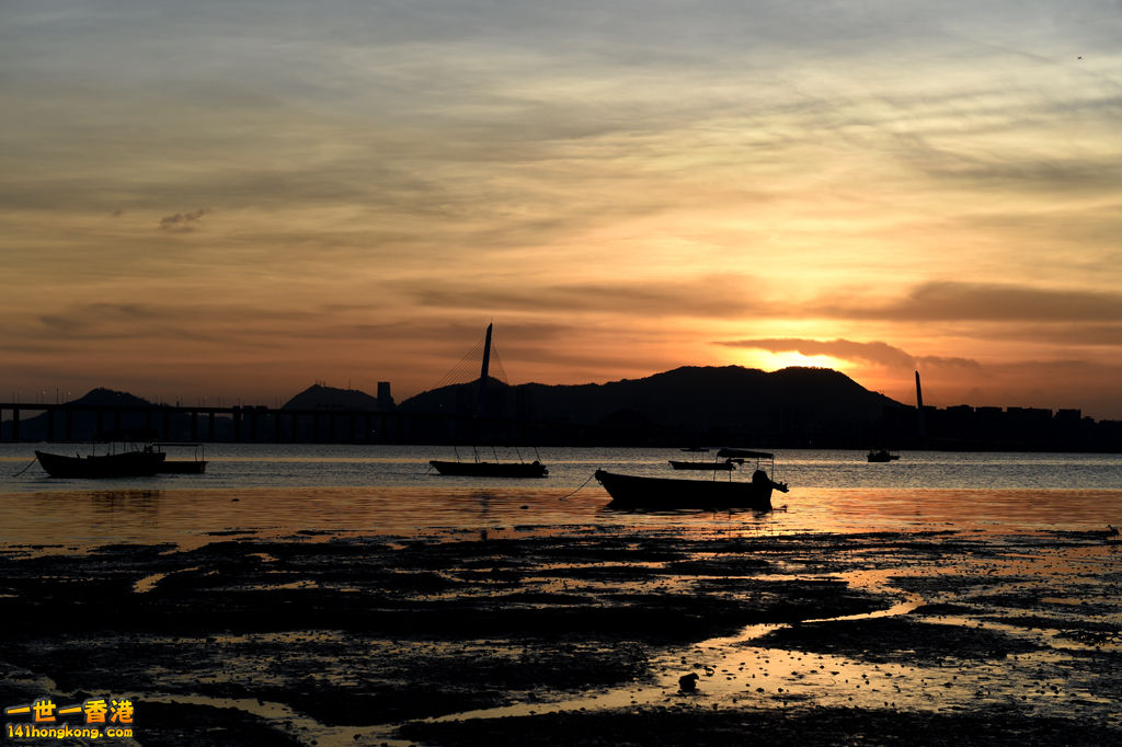 DSC_0131.JPG