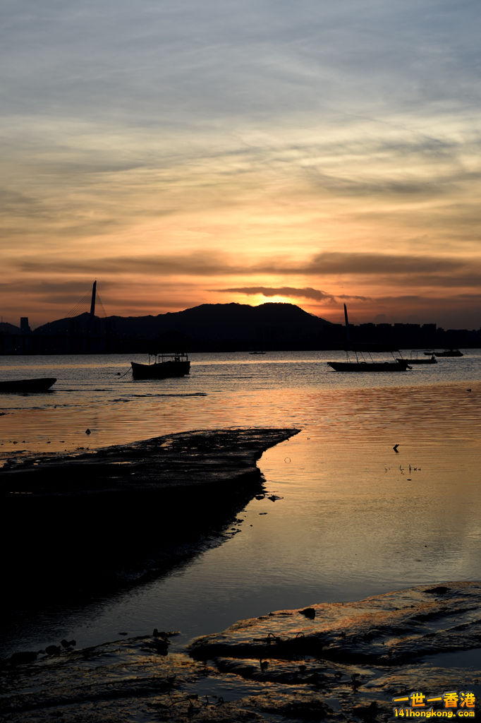 DSC_0140.JPG