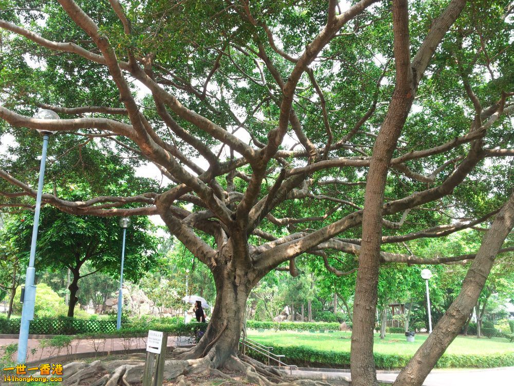 20140722_134949.jpg