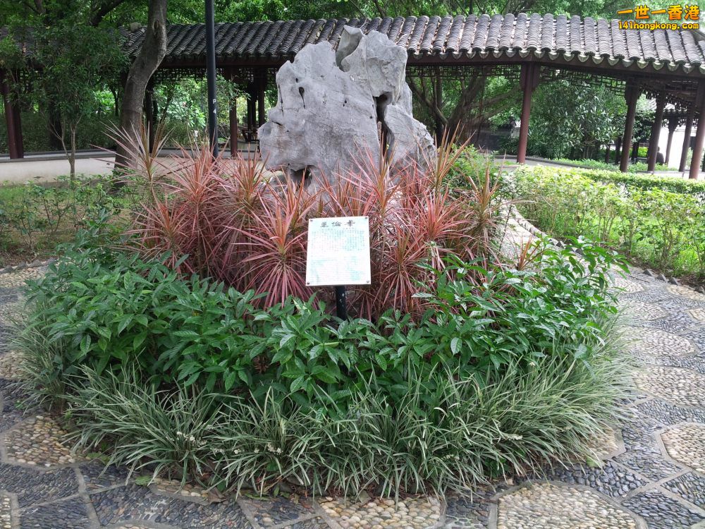 20140722_140548.jpg