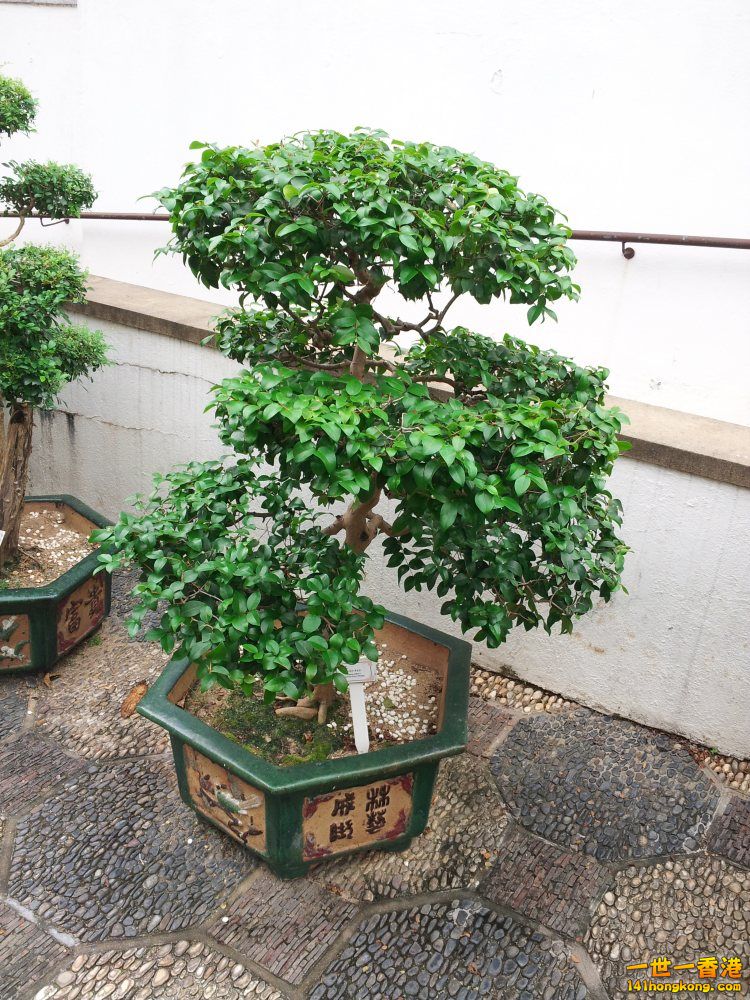 20140722_141751.jpg