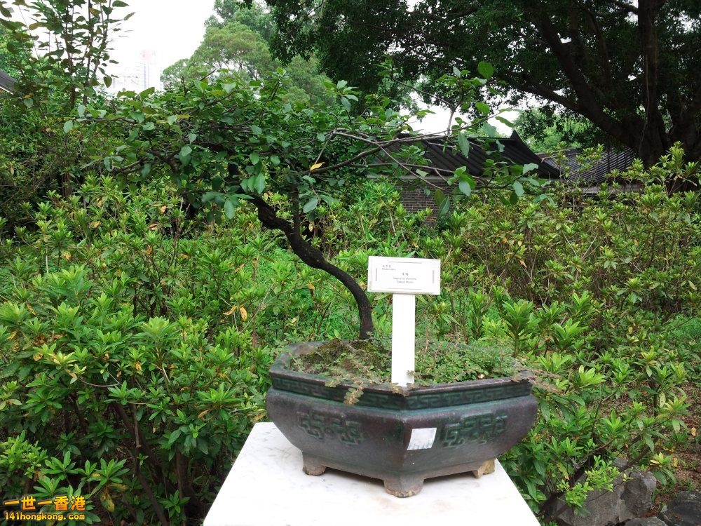 20140722_141717.jpg