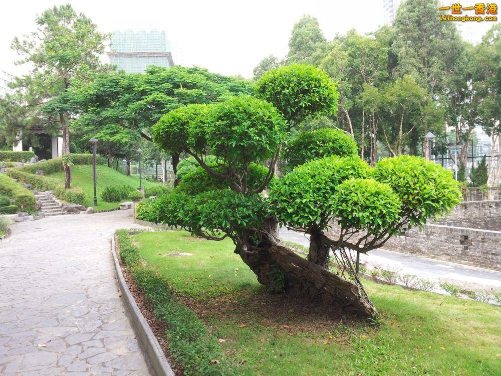 20140722_142242.jpg