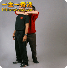 Krav.Maga_Combat.Training 0.gif