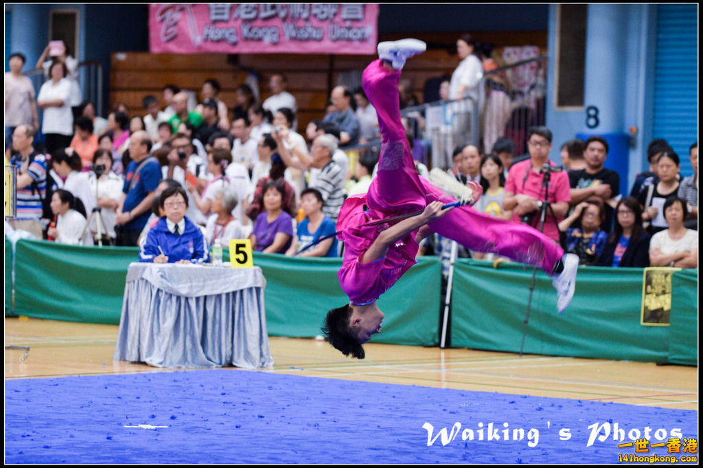 140831 wushuu 0072.jpg